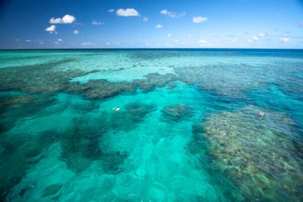 Ribbon Reefs Great Barrier Reef