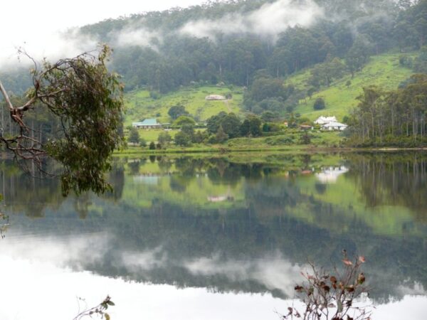 Reflections on the Huon Valley