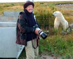 Hiking with polar bears Canada's Manitoba remains a career highlight