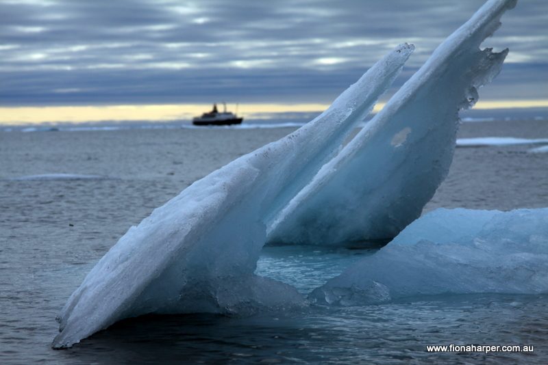 Canada's Arctic Circle cruise