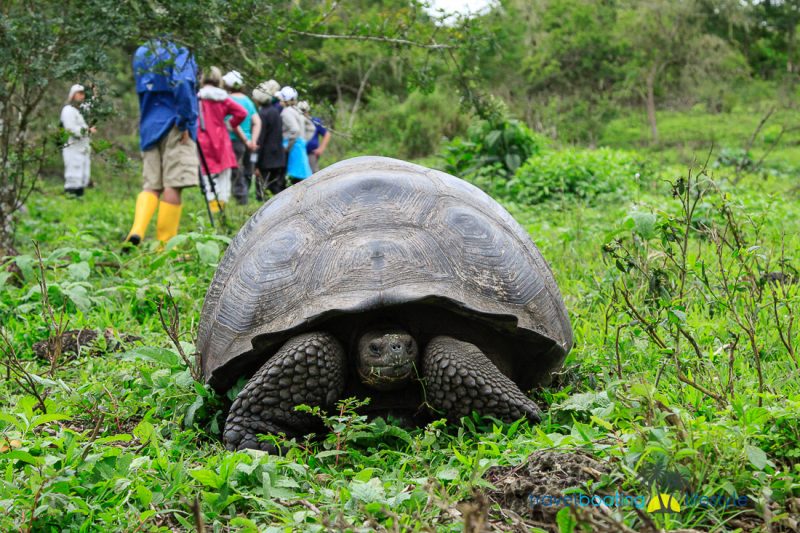 Galapagos Islands with National Geographic | Travel Boating Lifestyle