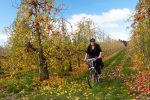 Riding the Great Taste Trail NZ