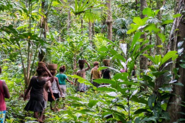 Wogasia Spear Festival, Santa Catalina Island, Solomon Islands