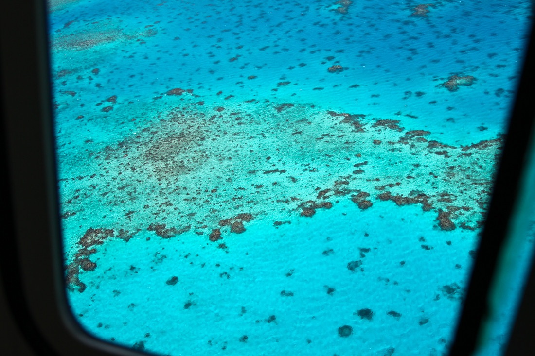 Great Barrier Reef Queensland Australia