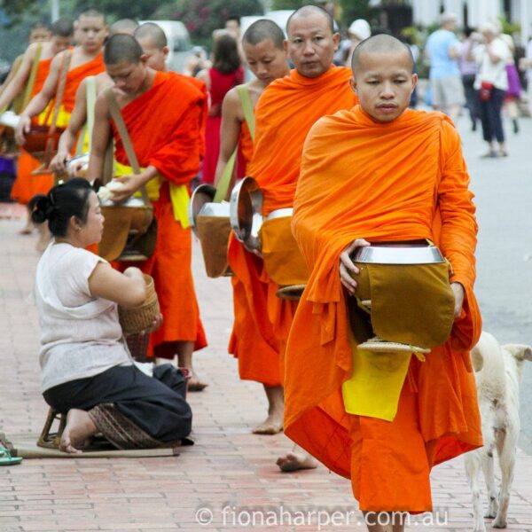 Monks alms giving ceremony, Luang Prabang half marathon, Laos