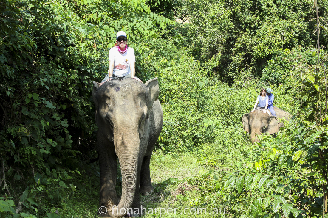 Elephant Village, Luang Prabang half marathon, Laos