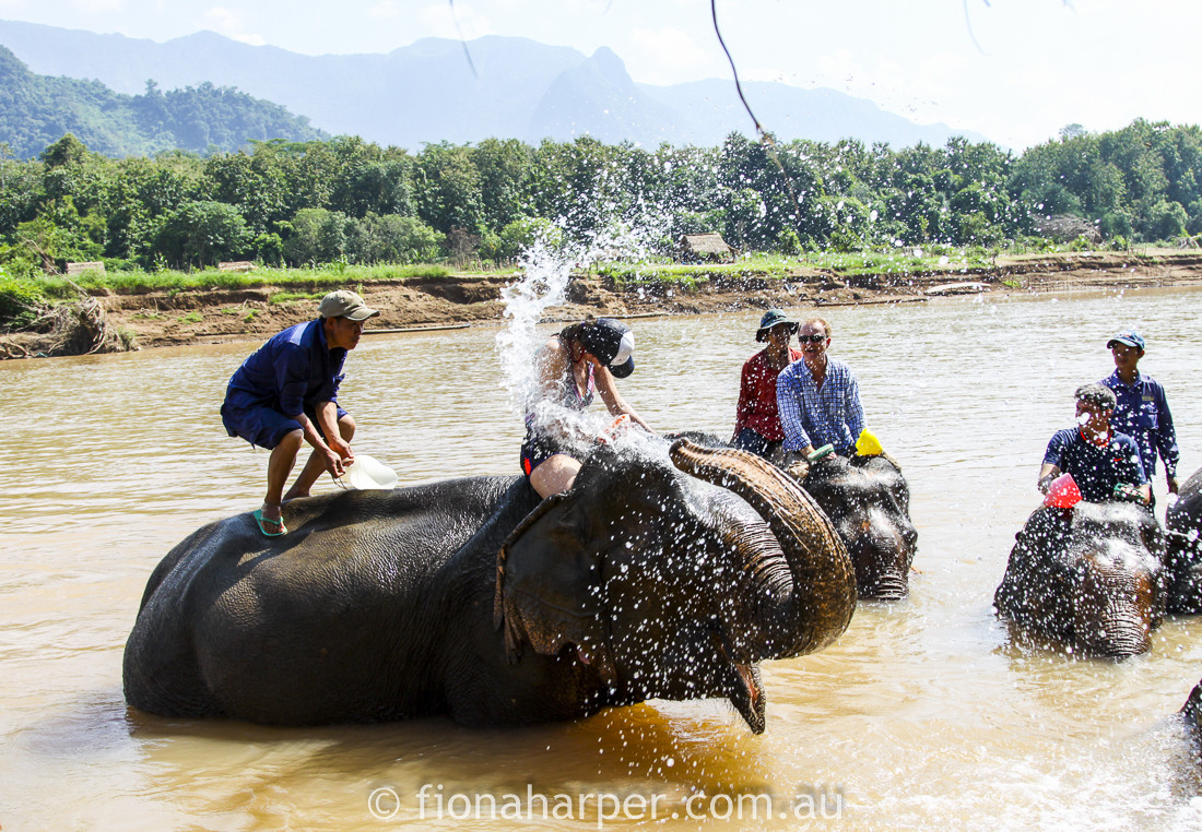 Elephant Village, Luang Prabang half marathon, Laos