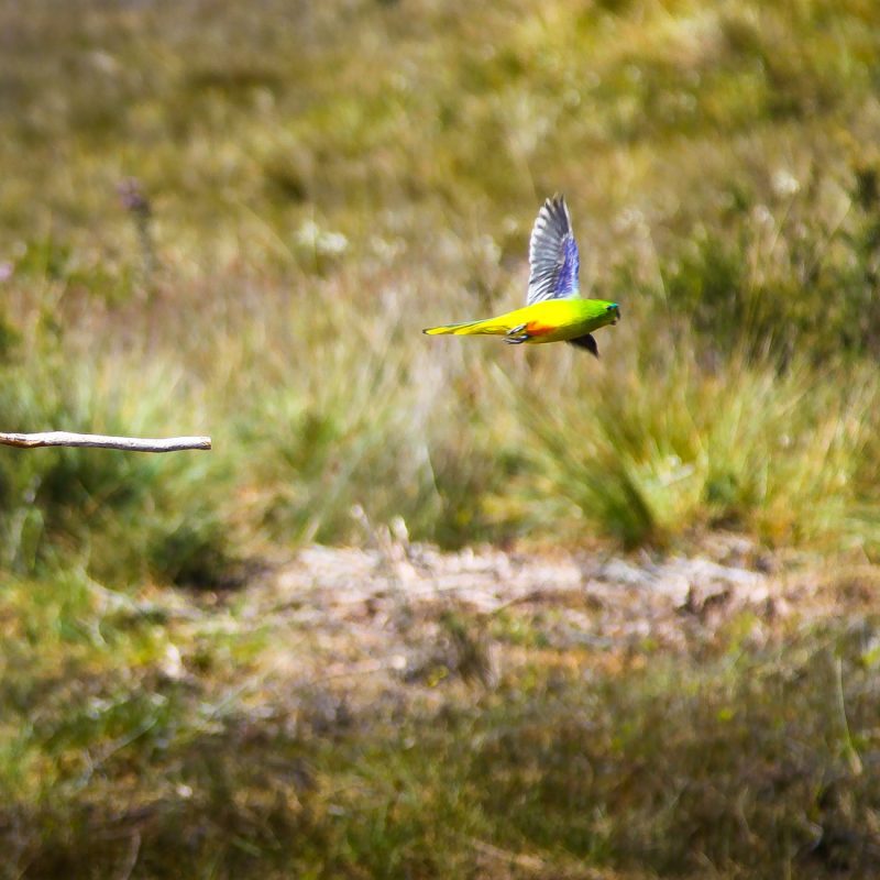 Tasmania Southwest National Park | Port Davey Bathurst Harbour | Travel Boating Lifestyle