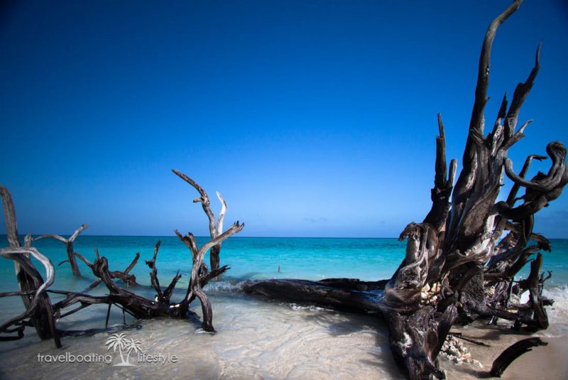 Lady Musgrave Island, Queensland | Best beaches | Travel Boating Lifestyle