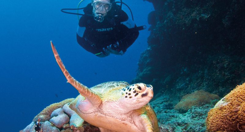 Great Barrier Reef | Travel Boating Lifestyle | Photo TEQ