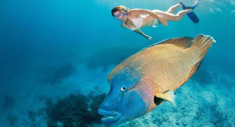 Great Barrier Reef || Travel Boating Lifestyle | Photo TEQ