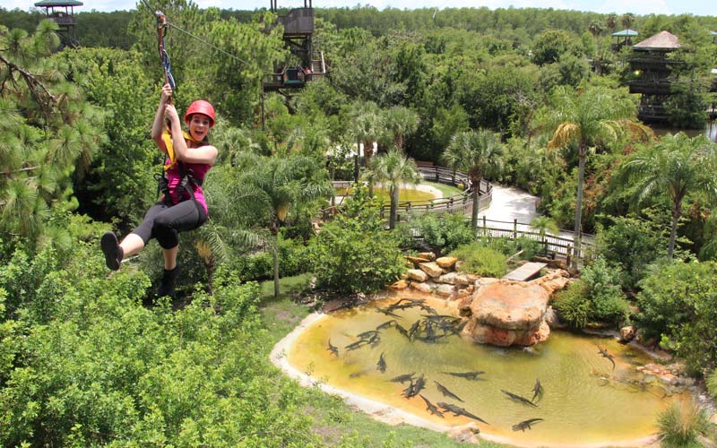 Gatorland Florida