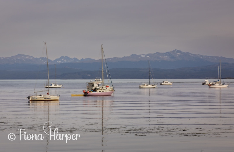 Ushuaia, Argentina, base for Antarctic cruises. Image Fiona Harper travel writer