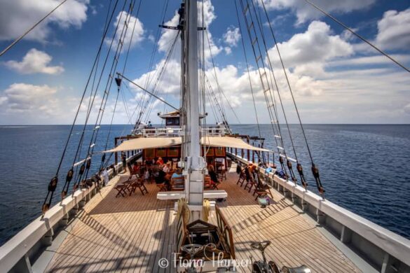 Sailing Indonesia's Spice Islands and Maluku Islands on phinisi sailboat - Seatrek Sailing Adventures