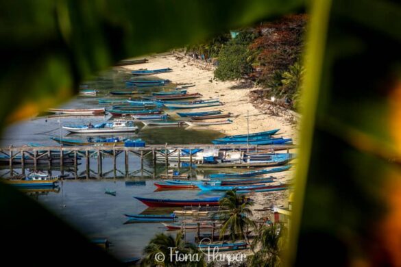 Sailing Indonesia's Spice Islands and Maluku Islands on phinisi sailboat - Seatrek Sailing Adventures