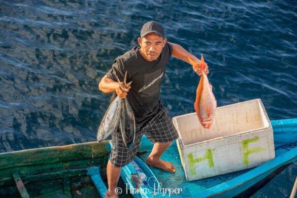 Sailing Indonesia's Spice Islands and Maluku Islands on phinisi sailboat - Seatrek Sailing Adventures