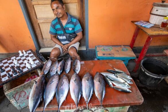 Sailing Indonesia's Spice Islands and Maluku Islands on phinisi sailboat - Seatrek Sailing Adventures