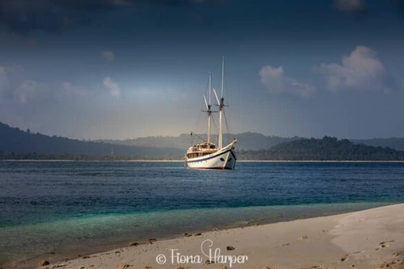 Sailing Indonesia's Spice Islands and Maluku Islands on phinisi sailboat - Seatrek Sailing Adventures