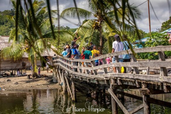 Sailing Indonesia's Spice Islands and Maluku Islands on phinisi sailboat - Seatrek Sailing Adventures