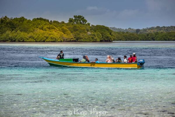 Sailing Indonesia's Spice Islands and Maluku Islands on phinisi sailboat - Seatrek Sailing Adventures