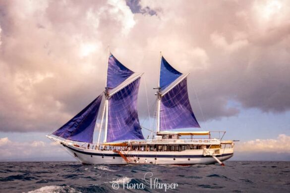 Sailing Indonesia's Spice Islands and Maluku Islands on phinisi sailboat - Seatrek Sailing Adventures