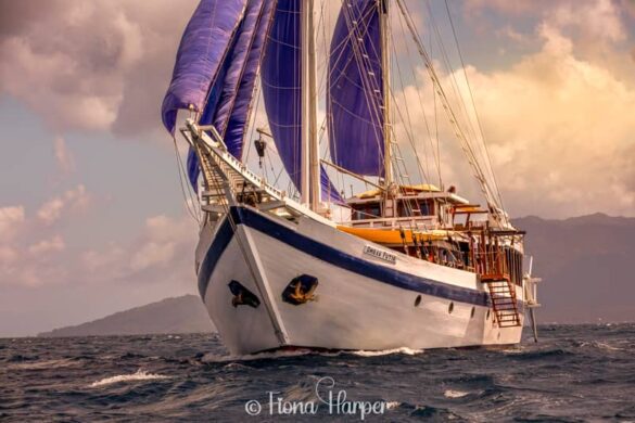 Sailing Indonesia on traditional pinisi sailboat with Seatrek Sailing Adventures