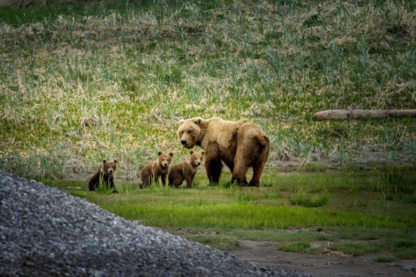 Homer Alaska, image by Fiona Harper travel writer for Travel Boating Lifestyle