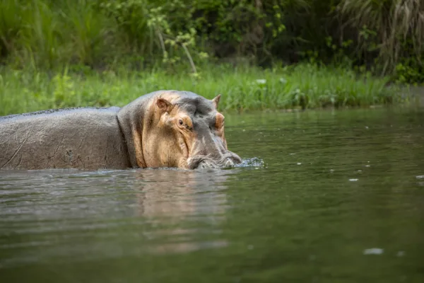 FIONA HARPER-Uganda-260518-2508
