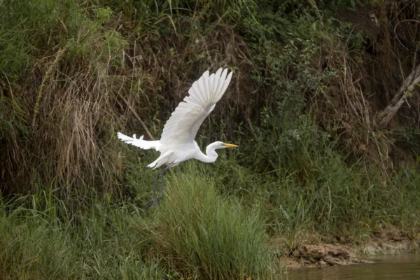 FIONA HARPER-Uganda-260518-2539